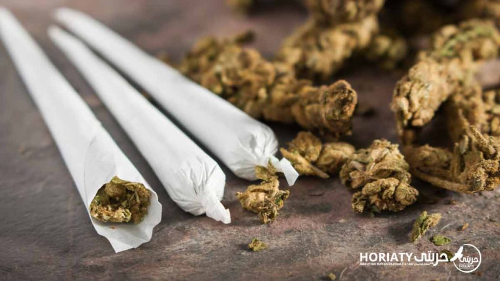 فوائد واضرار نبات البانجو الطبية