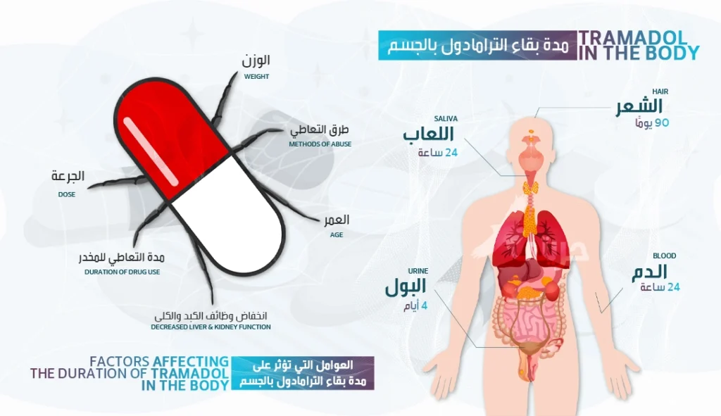 مدة بقاء الترامادول بالجسم